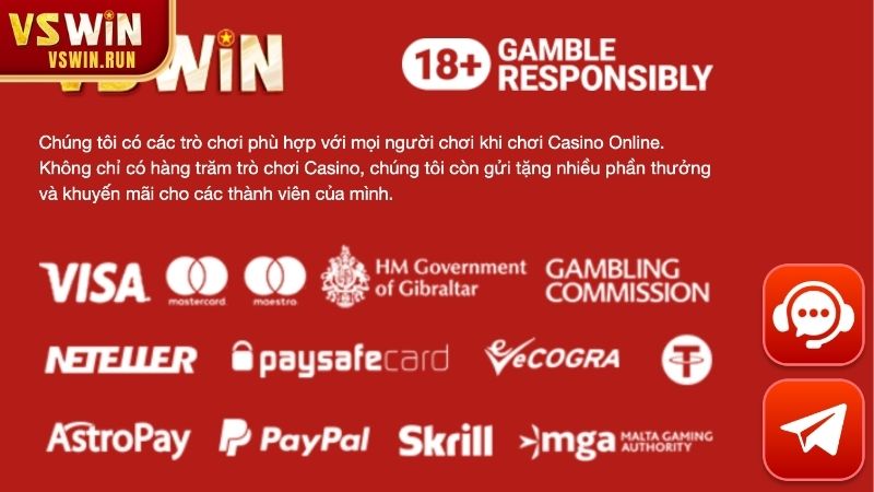 Thành tựu nổi bật trong hành trình phát triển của VSWIN