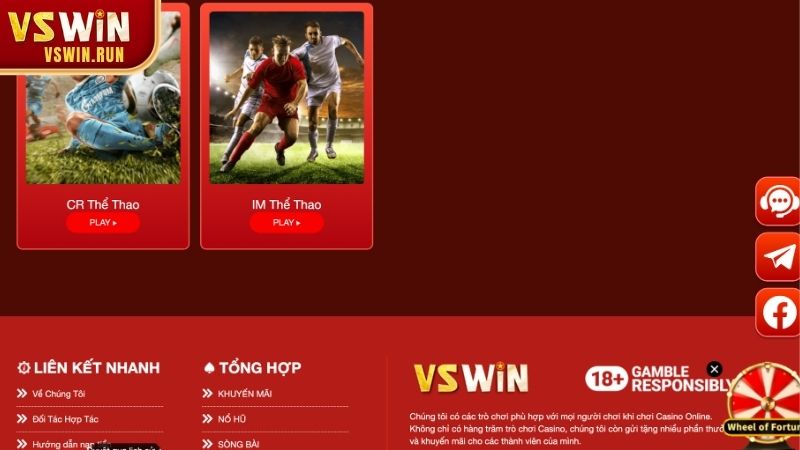 Lý do nên chọn sảnh thể thao VSWIN