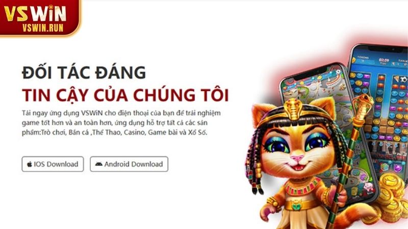 Hành trình hình thành và phát triển – Giới thiệu Về chúng tôi tại VSWIN